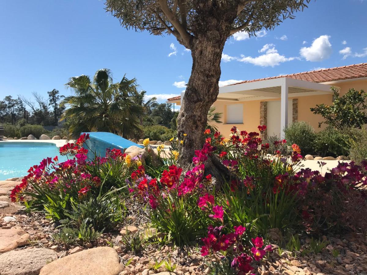 L'Hacienda Piscine Chauffee A 28, Spa, Boulodrome Et Court De Tennis Prives, 2 Villas Independantes Porto-Vecchio  Buitenkant foto